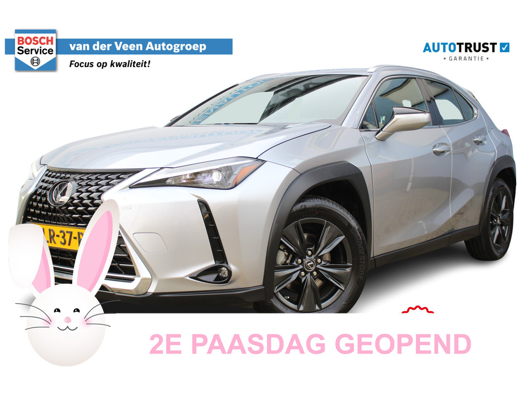Lexus UX 250h 52474072-68.jpg | Van der Veen Autogroep