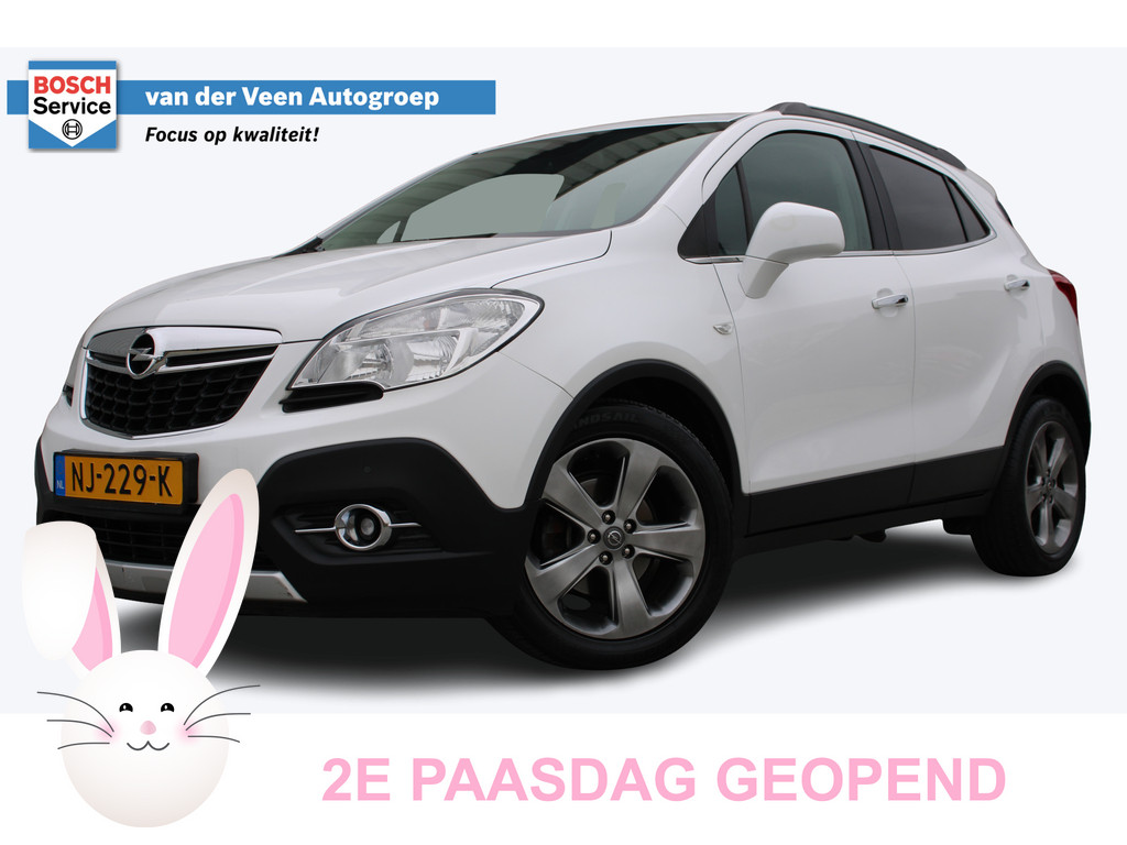 Opel Mokka 1.4 T Cosmo | 51432473-54.jpg | Van der Veen Autogroep