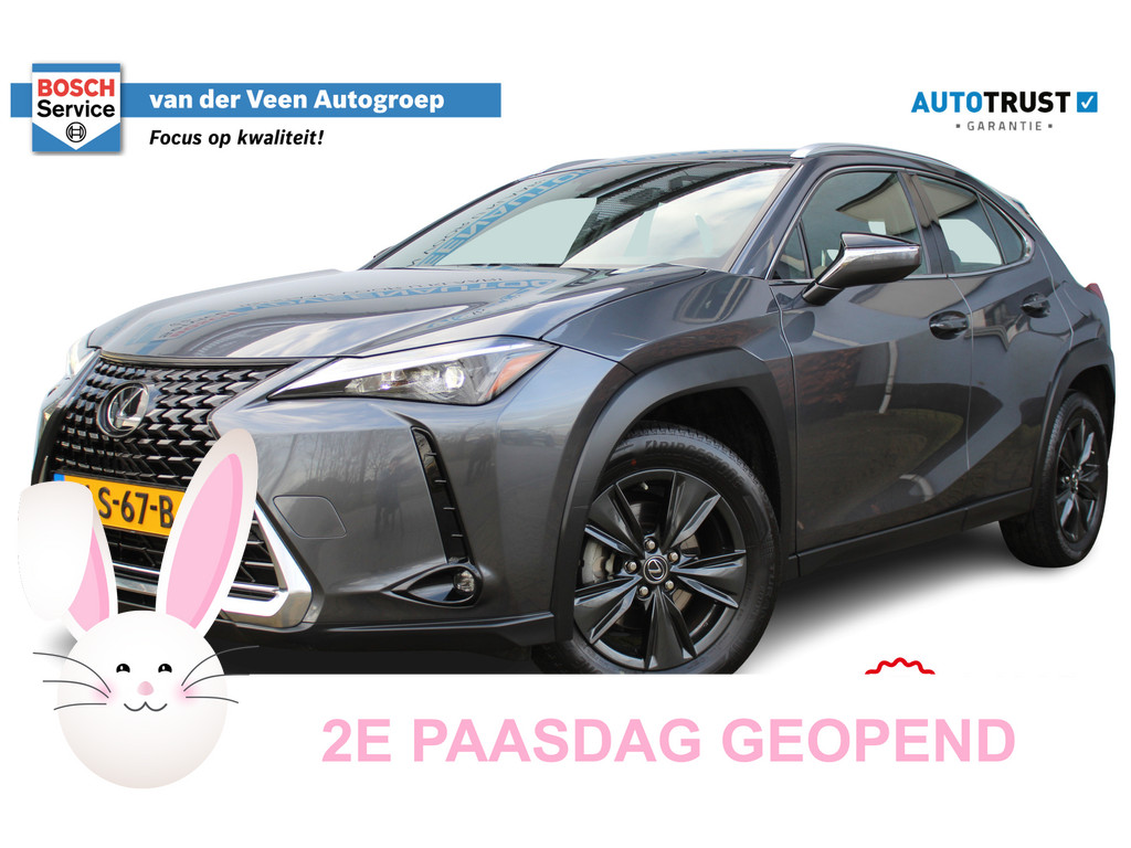 Lexus UX 250h 52474072-68.jpg | Van der Veen Autogroep